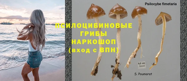 марихуана Гусев